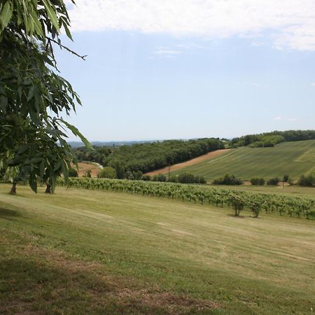 Bed and Breakfast Domaine De Perches Gaillac Esterno foto