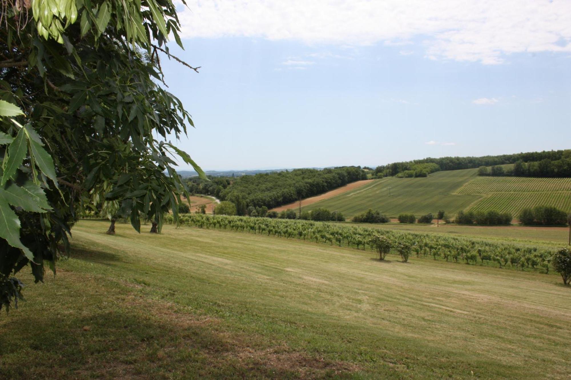 Bed and Breakfast Domaine De Perches Gaillac Esterno foto