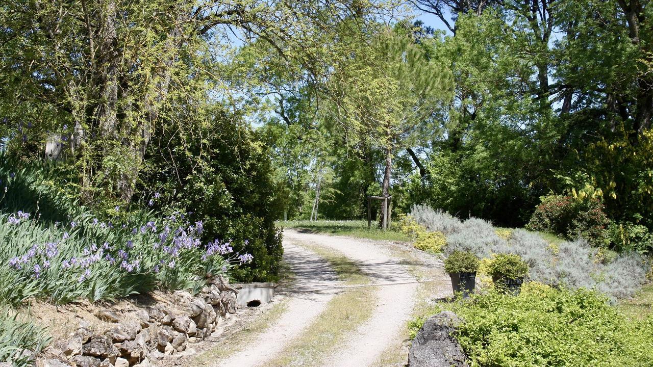 Bed and Breakfast Domaine De Perches Gaillac Esterno foto